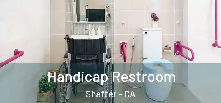  Handicap Restroom Shafter - CA